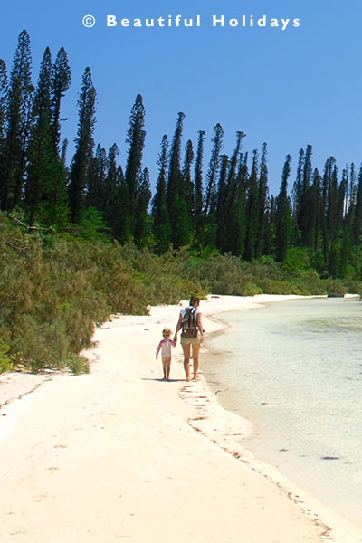 beach on isle of pines in new caledonia