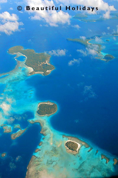 palm trees and beach in the south pacific islands