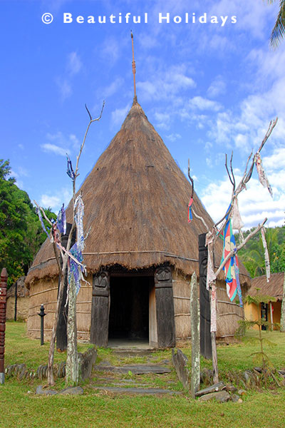 traditional thatch hut in new caledonia