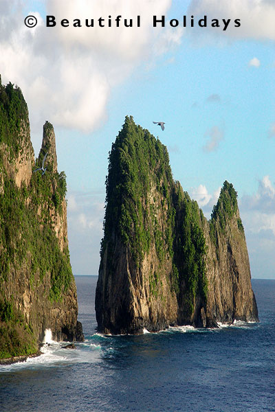 the Tuitila National Park of American Samoa