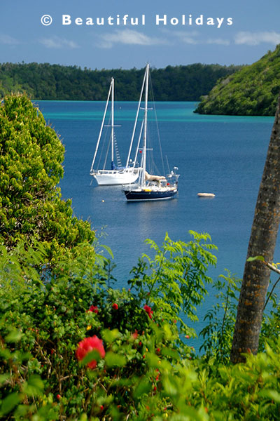 yahts in vavau harbour