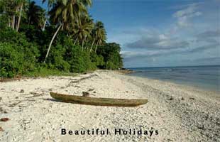 solomon islands picture showing beach scene